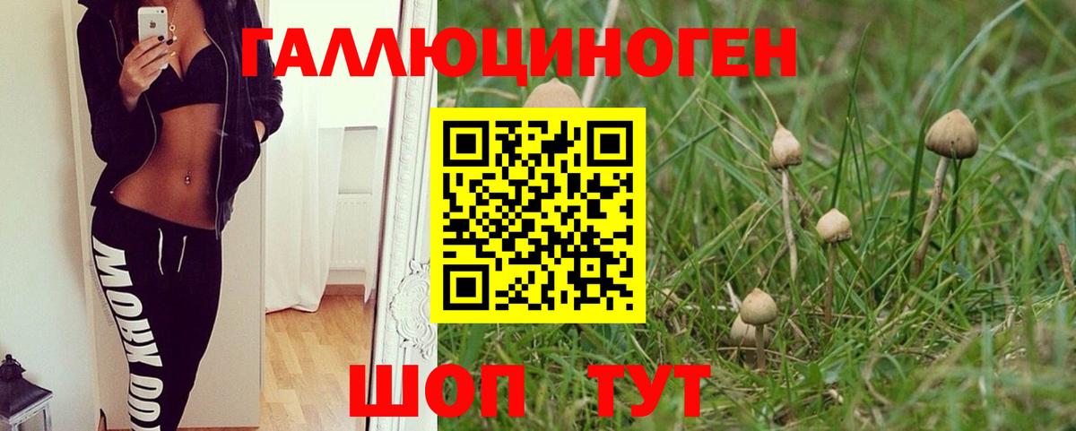 Галлюциногенные грибы Magic Shrooms Ухта